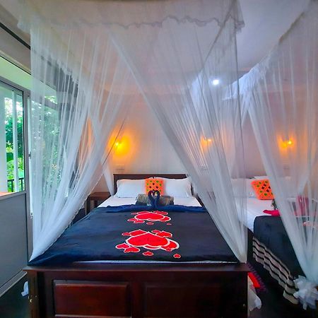 The Bliss Homestay 엘라 외부 사진