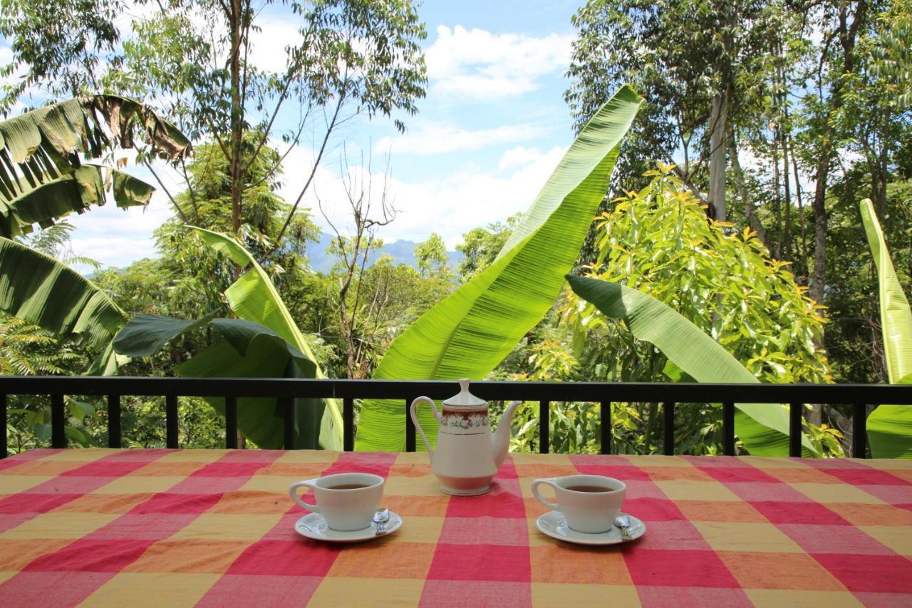 The Bliss Homestay 엘라 외부 사진