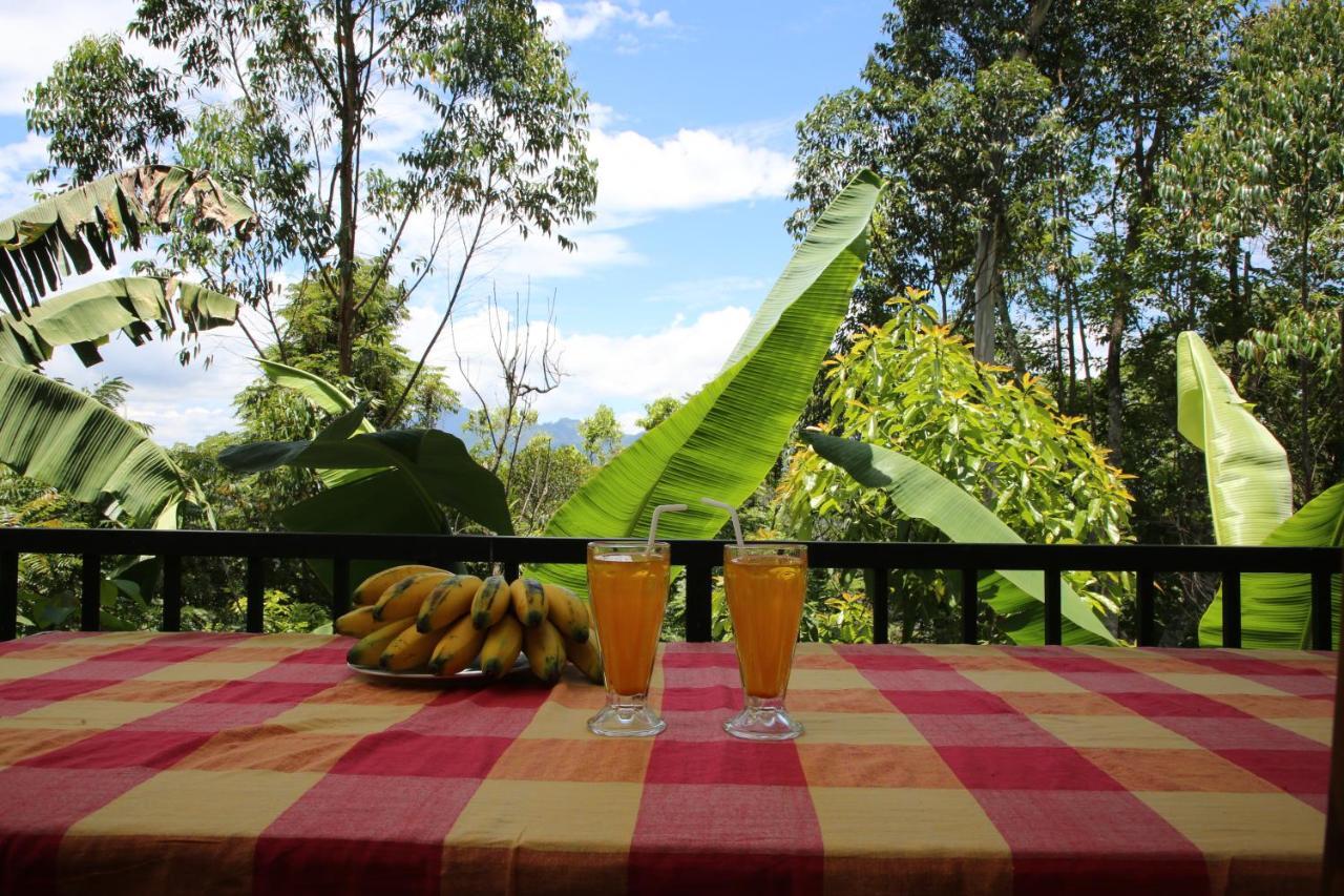 The Bliss Homestay 엘라 외부 사진