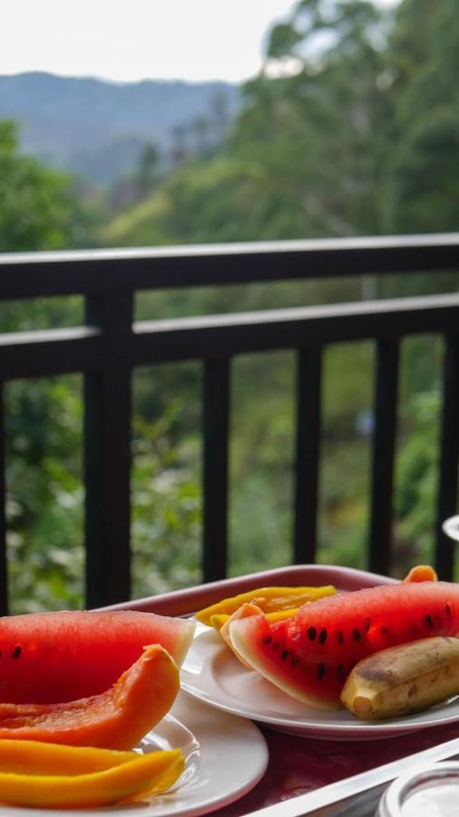 The Bliss Homestay 엘라 외부 사진