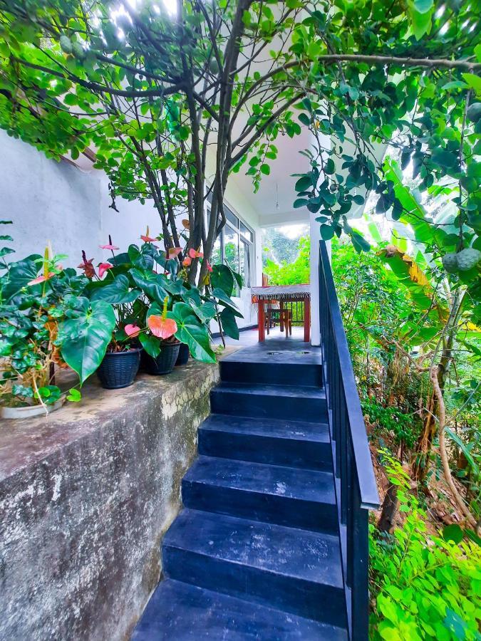The Bliss Homestay 엘라 외부 사진