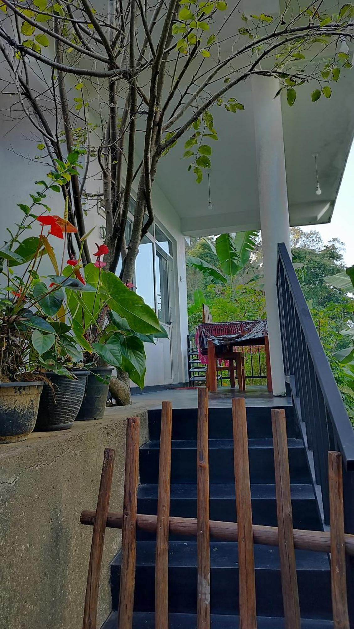 The Bliss Homestay 엘라 외부 사진