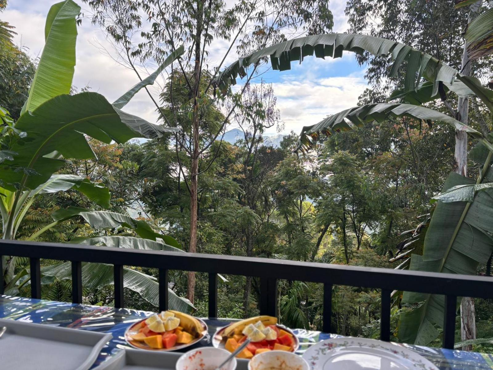 The Bliss Homestay 엘라 외부 사진