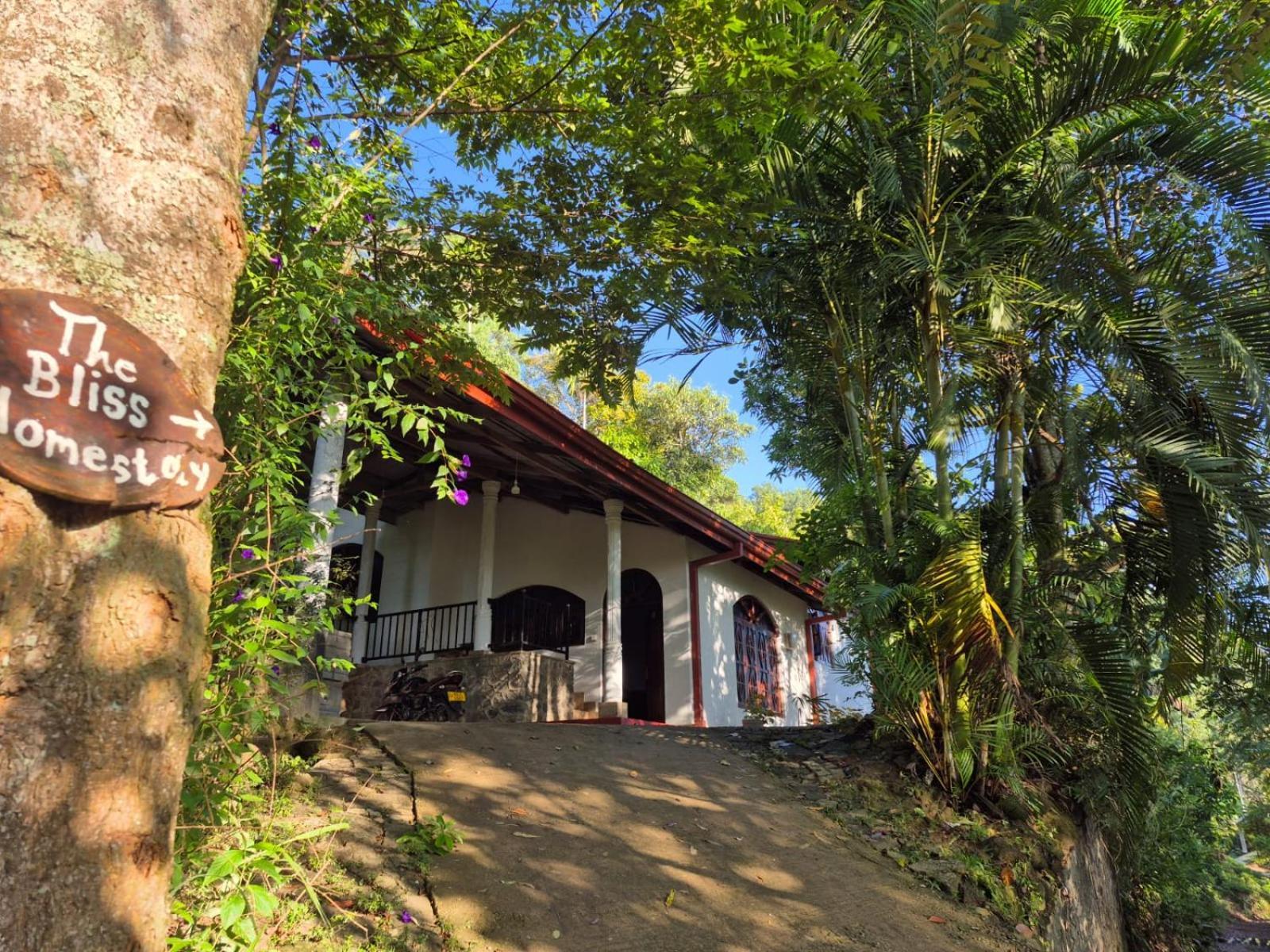 The Bliss Homestay 엘라 외부 사진